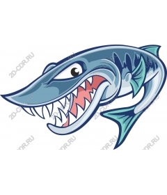  Ferocious Shark
