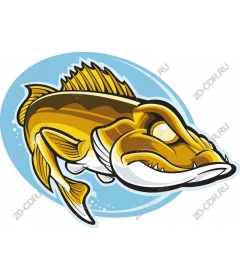  Bright fish