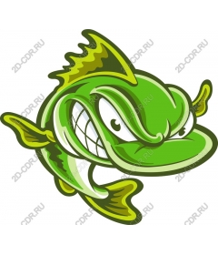  Angry Fish