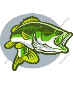  Bright fish-bass