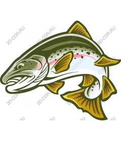 Dynamic trout