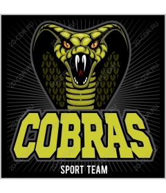  Sports team "cobras"