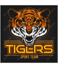  Sports team Fierce Tigers