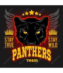  The team of "Fierce Panther"