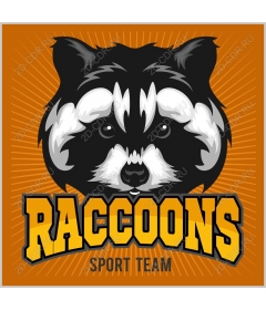 Sports team "Raccoons"