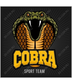Sports team Cobra