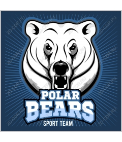  Sports team "polar bears"