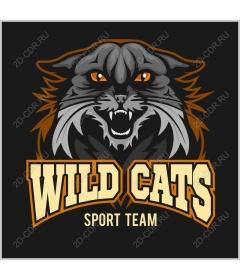  Sports team Wild Cats