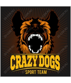 Sports team Crazy Dogs