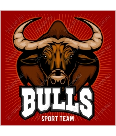  Динамика спортивной команды Bulls