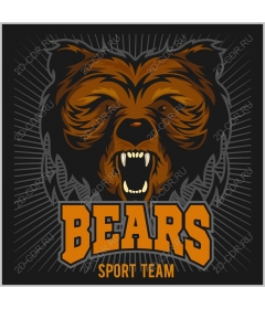  Sports team Fierce Bear