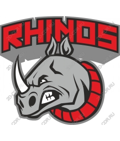 Rhinos
