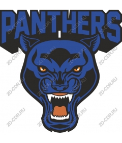 The Mascot Is The Panther