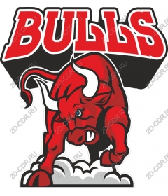Bulls attack