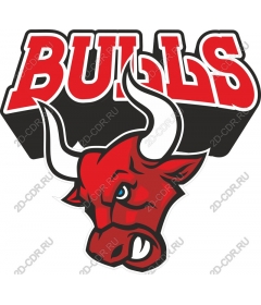 The head of a bull