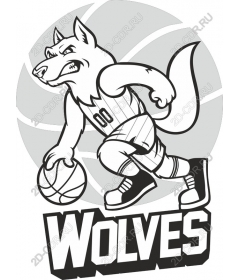  Баскетбол Fierce Wolf