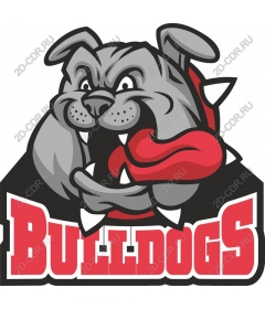  The Ferocious Bulldog Mascot