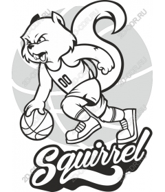 Squirrel Dynamic Basketball