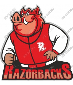  The Razorback Mascot