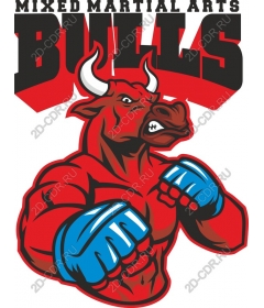 Bulls MMA