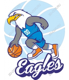 Basketball Fierce Eagle