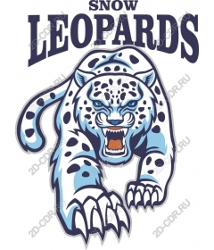  Ferocious snow leopard