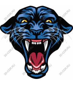 Head of a ferocious Panther