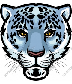 Snow leopard