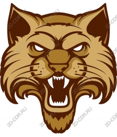 Head of a ferocious lynx