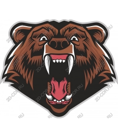  Ferocious grizzly bear