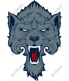 Head ferocious wolf