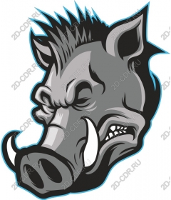  Ferocious wild boar