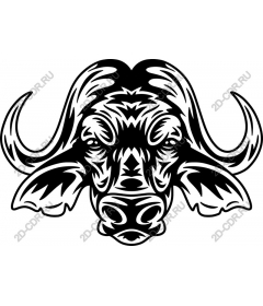  Brave the head of a Buffalo