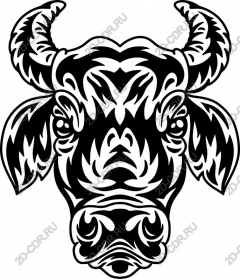  The majestic head of a bull