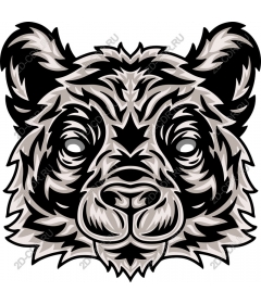  The majestic snout of a bear
