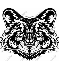 Wildcat - Monochrome
