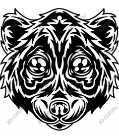  The muzzle of a wild bear