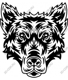 Wolf head