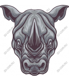 The majestic head of a rhinoceros