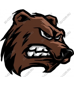 Head of a ferocious bear