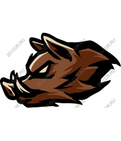  Ferocious boar's head