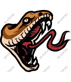Head of a ferocious snake