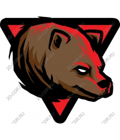 Head of a ferocious bear