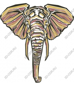 Majestic elephant