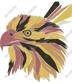  Bright birds