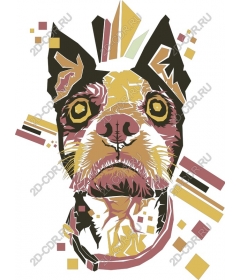  Bright dog