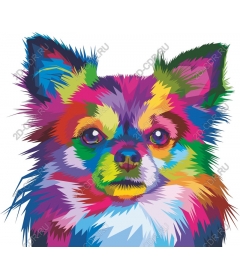  Colorful pop art Chihuahua