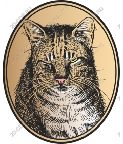 Royal tabby cat
