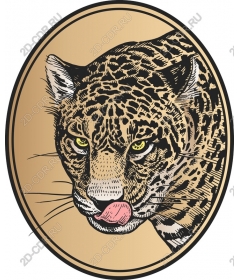  Величественный леопард