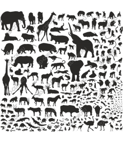  Ultimate Animal Pack
